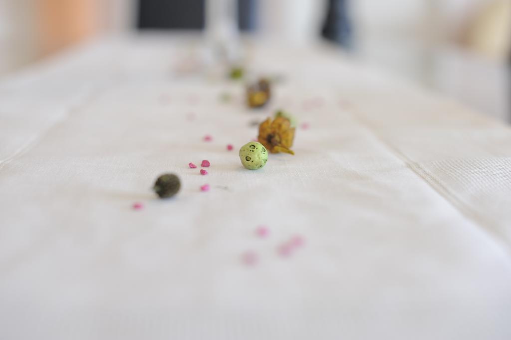 Apartment Jaz ビビニェ 部屋 写真